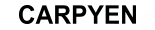 logo Carpyen